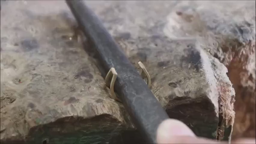 Încarcă clipul video: 